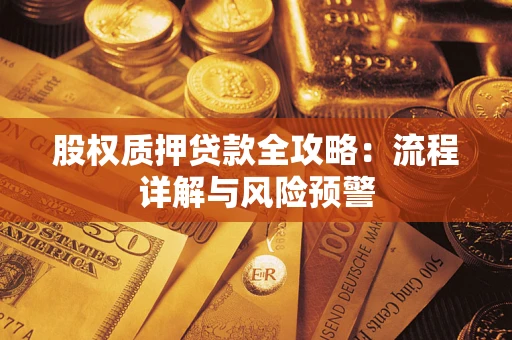 北京股权质押贷款全攻略：流程详解与风险预警