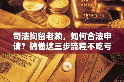 北京司法拘留老赖，如何合法申请？搞懂这三步流程不吃亏！