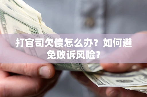 北京打官司欠债怎么办？如何避免败诉风险？