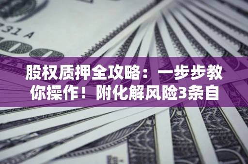 北京股权质押全攻略：一步步教你操作！附化解风险3条自救法则