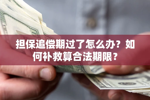 北京担保追偿期过了怎么办？如何补救算合法期限？