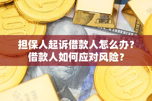 北京担保人起诉借款人怎么办？借款人如何应对风险？