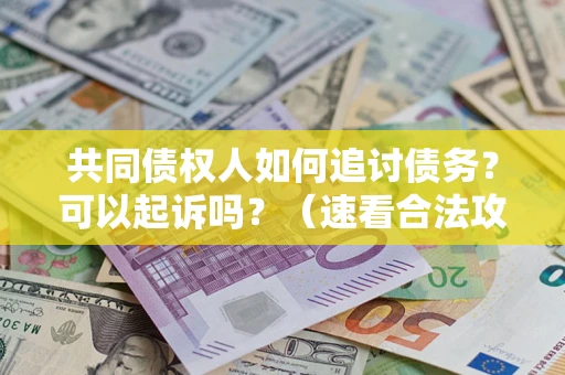 北京共同债权人如何追讨债务？可以起诉吗？（速看合法攻略）