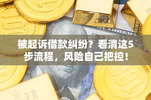 北京被起诉借款纠纷？看清这5步流程，风险自己把控！