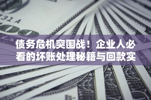 北京债务危机突围战！企业人必看的坏账处理秘籍与回款实战指南